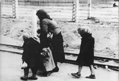 auschwitz
